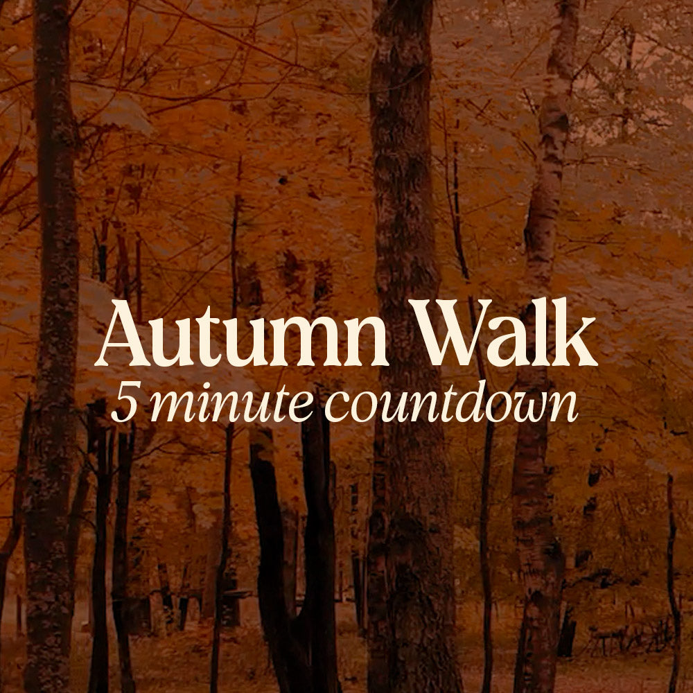 Autumn Walk 5 minute countdown video